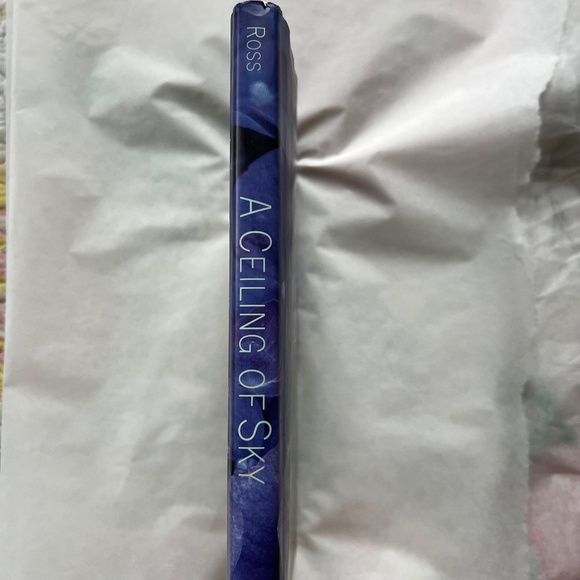 BARGAIN: 4 books by Miller, Chen, Ross and a Spark Notes - Picture 14 of 14